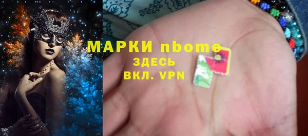 метадон Алексин